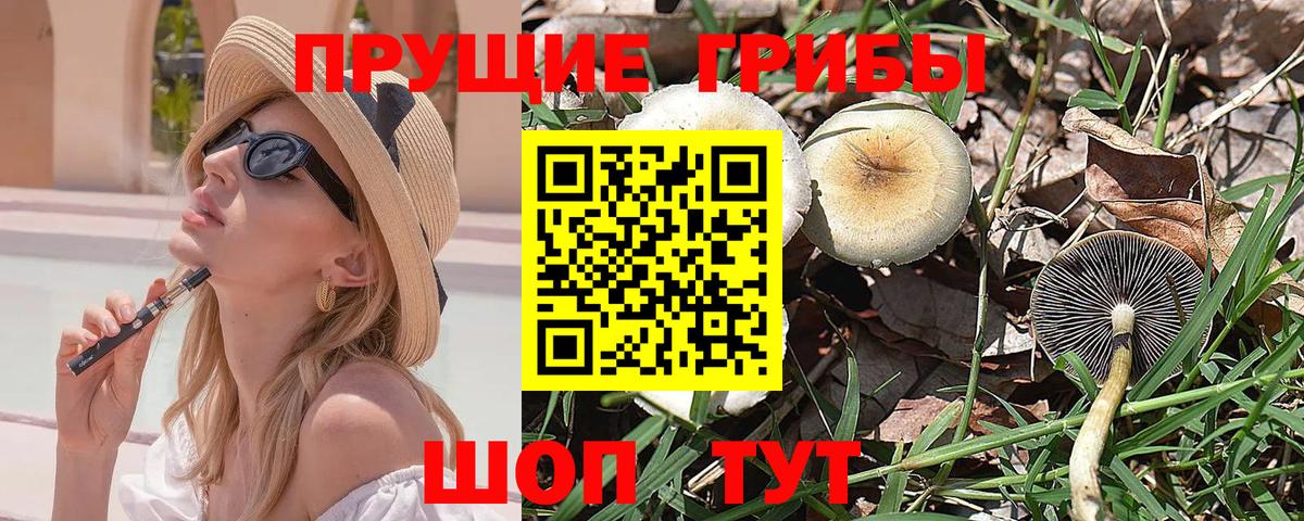 Галлюциногенные грибы Psilocybe  Вход с VPN  Кропоткин  как найти наркотики  Псилоцибиновые грибы Magic Shrooms 